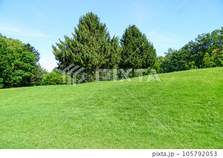 真駒内公園見晴台（かしわ・きのこ広場エリア） 105792053