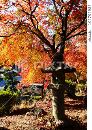 福岡県の紅葉名所　秋月城跡周辺の紅葉の風景 105792982