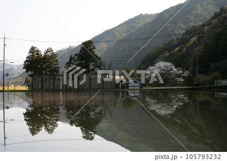 田植えを待つ水田 105793232