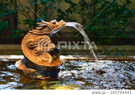小野照崎神社の手水(東京都台東区下谷) 小野照崎神社の手水(東京都台東区下谷) 105793441