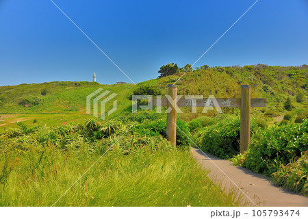伊豆半島・南伊豆・爪木崎・どこを見ても絶景の遊歩道、入口の風景・静岡県下田市(2) 105793474