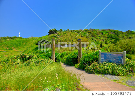 伊豆半島・南伊豆・爪木崎・どこを見ても絶景の遊歩道、入口の風景・静岡県下田市(3) 105793475
