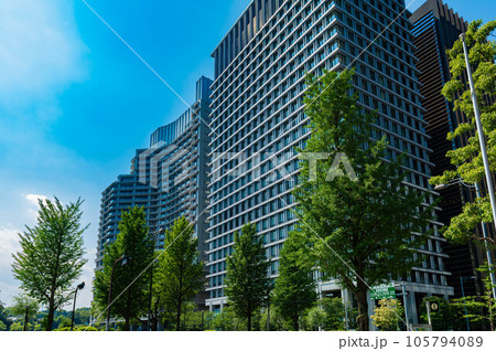 東京都千代田区の高層ビルと街路樹の都市風景 105794089