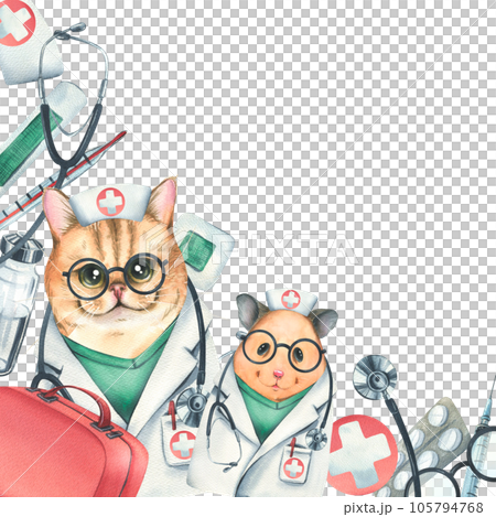 Cat with hamster doctors in a dressing gown, glasses, with a stethoscope, a suitcase and medical instruments, injections. Watercolor illustration hand drawn. Template on white background. Cat with hamster doctors in a dressing gown, glasses, with a stethoscope, a suitcase and medical instruments, injections. Watercolor illustration hand drawn. Template on white background. 105794768