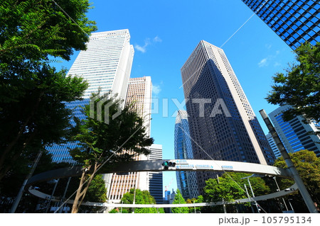 新宿高層ビル街 新宿高層ビル街 105795134