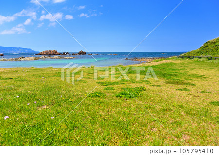 伊豆半島・南伊豆・爪木崎・南国ムード漂う緑と花の美しい浜、池ノ段ビーチ・静岡県下田市(3) 伊豆半島・南伊豆・爪木崎・南国ムード漂う緑と花の美しい浜、池ノ段ビーチ・静岡県下田市(3) 105795410