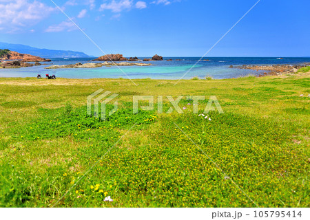 伊豆半島・南伊豆・爪木崎・快晴の池ノ段ビーチで楽しむアウトドアのイメージ・静岡県下田市(2) 105795414
