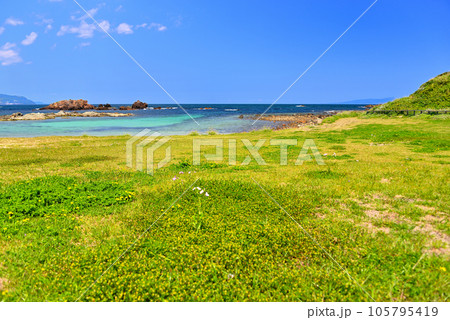 伊豆半島・南伊豆・爪木崎・南国ムード漂う緑と花の美しい浜、池ノ段ビーチ・静岡県下田市(10) 伊豆半島・南伊豆・爪木崎・南国ムード漂う緑と花の美しい浜、池ノ段ビーチ・静岡県下田市(10) 105795419
