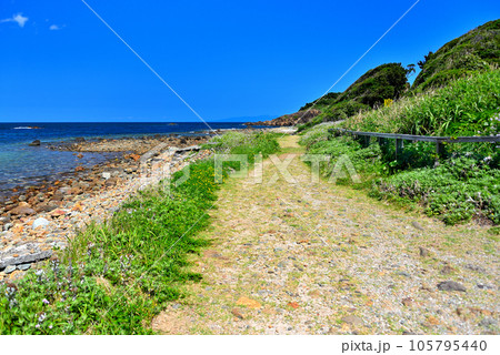 伊豆半島・南伊豆・爪木崎・美しい浜、池ノ段ビーチを眺めながら歩ける遊歩道・静岡県下田市(2) 伊豆半島・南伊豆・爪木崎・美しい浜、池ノ段ビーチを眺めながら歩ける遊歩道・静岡県下田市(2) 105795440