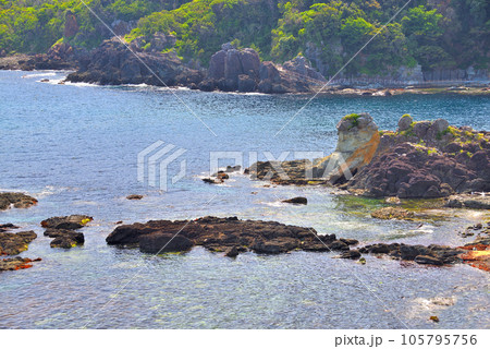 伊豆半島・南伊豆・爪木崎より眺める磯と、海岸沿いを行く須崎遊歩道(南伊豆歩道)・静岡県下田市(1) 105795756