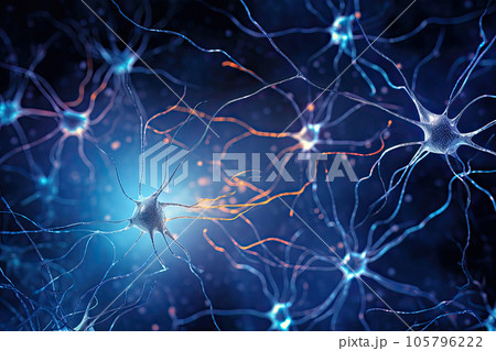 神経伝達物質を受送信する神経細胞 105796222