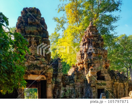 Nature's canvas 105797871