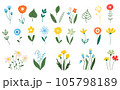 Summer flowers. Spring plants in flat style isolated on white background. 105798189