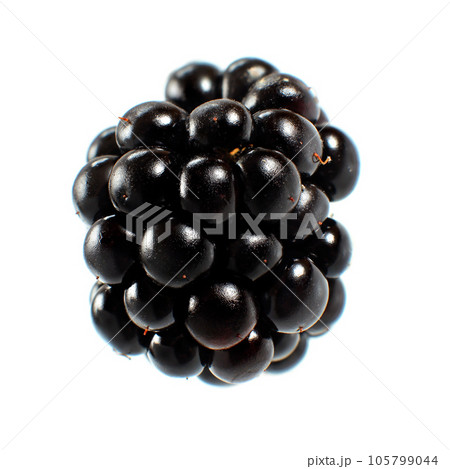 Blackberry fruit isolated on white background 105799044