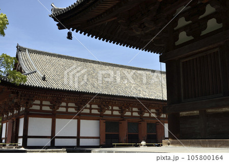 東寺　講堂【重要文化財】 105800164