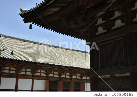東寺 講堂【重要文化財】 東寺 講堂【重要文化財】 105800165