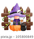 Gnome Halloween Watercolor clipart Gnome Witch Pumpkin Spooky cartoon character with a broom and a hat Hand Drawn 105800849