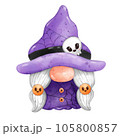 Gnome Halloween Watercolor clipart Gnome Witch Pumpkin Spooky cartoon character with a broom and a hat Hand Drawn 105800857