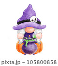 Gnome Halloween Watercolor clipart Gnome Witch Pumpkin Spooky cartoon character with a broom and a hat Hand Drawn 105800858