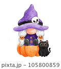 Gnome Halloween Watercolor clipart Gnome Witch Pumpkin Spooky cartoon character with a broom and a hat Hand Drawn 105800859