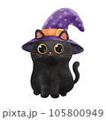 black cat wearing a witch hat Halloween watercolor Clipart spooky cat  105800949