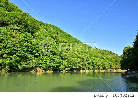 新緑の京都嵐山 105802212
