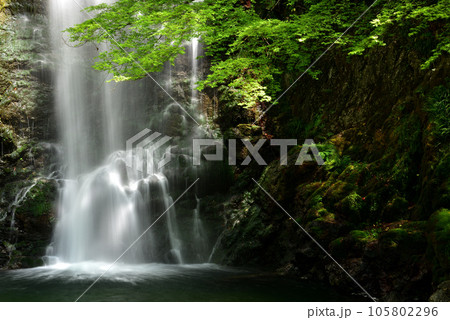 新緑の箕面公園 105802296