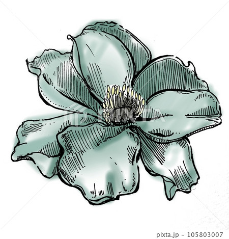 花　水彩グリーン 105803007