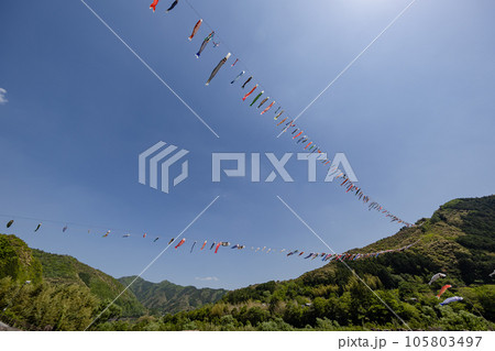 四万十川の鯉のぼり（高知県こいのぼり公園） 105803497