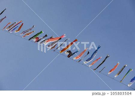 四万十川の鯉のぼり（高知県こいのぼり公園） 105803504