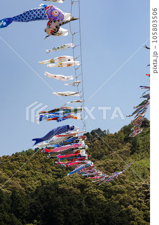 四万十川の鯉のぼり（高知県こいのぼり公園） 105803506