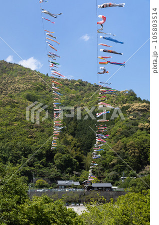 四万十川の鯉のぼり（高知県こいのぼり公園） 105803514