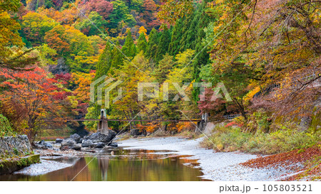 湯瀬渓谷（秋） 105803521