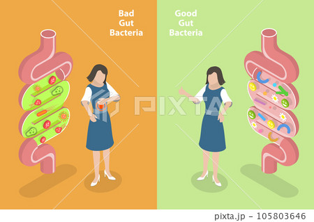 3D Isometric Flat Vector Conceptual Illustration of Good And Bad Gut Bacterias 3D Isometric Flat Vector Conceptual Illustration of Good And Bad Gut Bacterias 105803646
