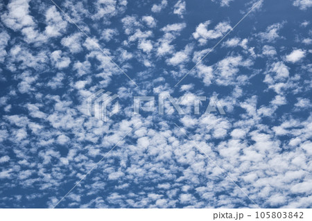青空に広がるうろこ雲 青空に広がるうろこ雲 105803842
