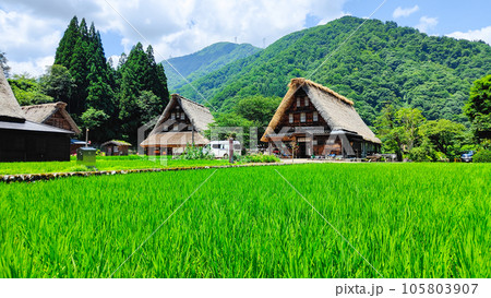 夏の五箇山・菅沼合掌造り集落 夏の五箇山・菅沼合掌造り集落 105803907