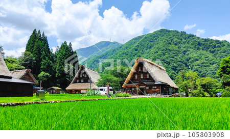 夏の五箇山・菅沼合掌造り集落 105803908