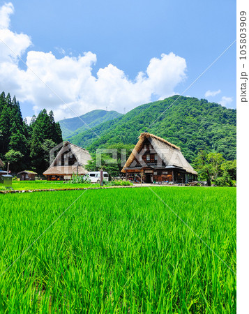 夏の五箇山・菅沼合掌造り集落 夏の五箇山・菅沼合掌造り集落 105803909