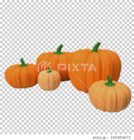 The pumpkin for Thanksgiving day concept 105804673