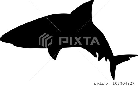 The Shark illustration for wild life or ocean concept The Shark illustration for wild life or ocean concept 105804827