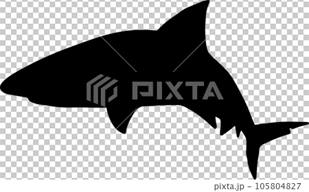 The Shark illustration for wild life or ocean concept The Shark illustration for wild life or ocean concept 105804827