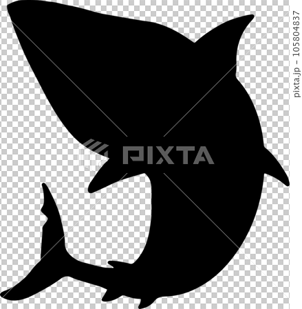 The Shark illustration for wild life or ocean concept The Shark illustration for wild life or ocean concept 105804837