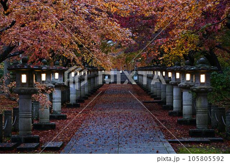 高山寺の紅葉 105805592