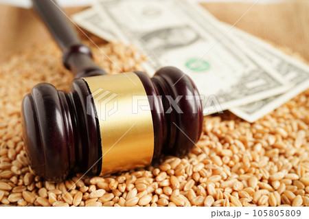 Judge hammer on wheat grains from organic agriculture farm, agricultural law concept. 105805809