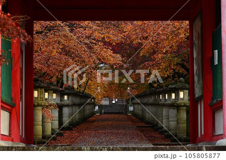 高山寺の紅葉 高山寺の紅葉 105805877