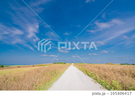 （北海道稚内）夏の青い空　白い道 105806417