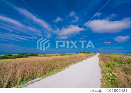 （北海道稚内）夏の青い空　白い道 105806421