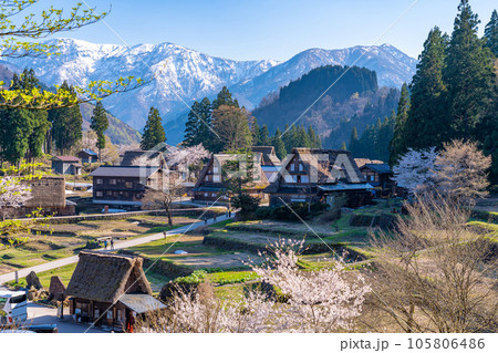 富山県五箇山 桜咲く春の相倉合掌造り集落 富山県五箇山 桜咲く春の相倉合掌造り集落 105806486