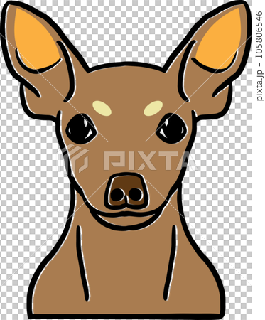 The dog face png image for pet or animal concept The dog face png image for pet or animal concept 105806546
