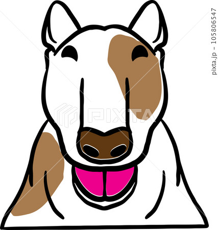 The dog face png image for pet or animal concept The dog face png image for pet or animal concept 105806547